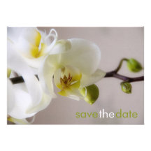 Weiße Orchidee • Save the Date Karte Personalisierte Einladungen