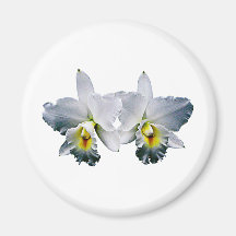 Weiße Orchideen-hawaiisches Hochzeits-Lied Magnete