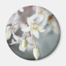 WEISSE ORCHIDEEN KÜHLSCHRANKMAGNET