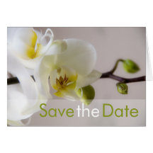 Weiße Orchideen-Save the Date Karte