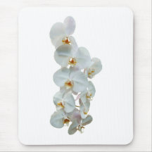 Weiße Phalaenopsis-Orchideen Mauspads
