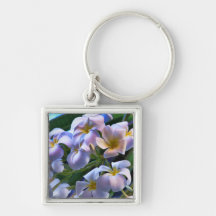 Weiße Plumeria-Blumen Keychain Schlüsselbänder