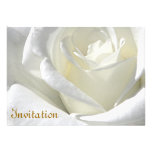 Weiße Rose_ Einladung