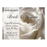 Weiße Rose Save the Date - besonders angefertigt Postkarte
