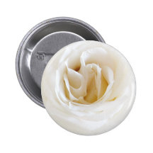 Weiße Rose - Snowy Anstecknadelbutton