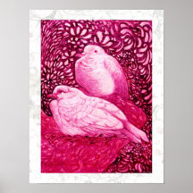 WEISSE TAUBEN IN DER ROSA FUCHSIE POSTERDRUCKE