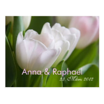 Weiße Tulpen • Save-the-Date-Postkarte