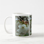 Weiße Zartheit Kaffee Tasse