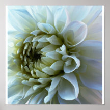 Weißer Blumen-Kopf Plakatdruck