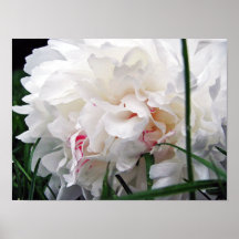 Weißer Blumenmalerei-Leinwand-Druck Plakatdruck
