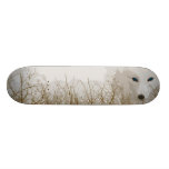 Weißer Fox Personalisiertes Skateboarddeck