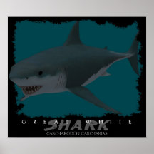 Weißer Hai Poster