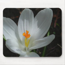 Weißer Krokus Mauspads