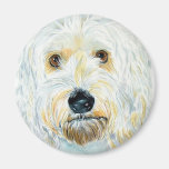 Weißer Labrdoodle Maggie Magnet Kühlschrankmagnete