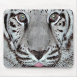 Weißer Tiger Mauspads