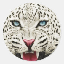 weißer Tiger Runde Sticker