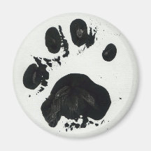 Weißer Tiger-Tatzen-Druck-Magnet