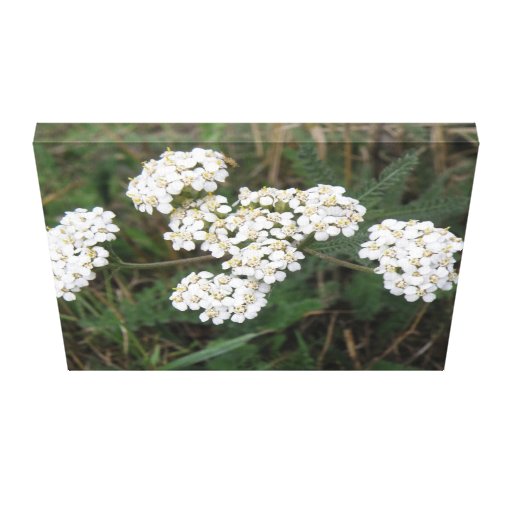 Weißer Wildblumen-Leinwand-Druck Galerie Faltleinwand