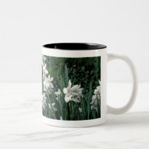 'Weißes Daffodil Kaffee Tassen