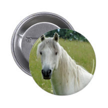 Weißes Pferd Anstecknadelbuttons