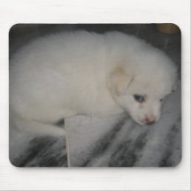 Weißes wenig Welpenfoto mousepad