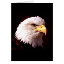 Weißkopfseeadler-Amerikaner Eagle Karte