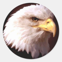 Weißkopfseeadler-Amerikaner Eagle Runder Sticker