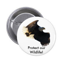 Weißkopfseeadler-Flug-Sammlung II Anstecknadelbuttons