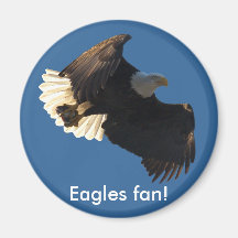Weißkopfseeadler-Flug-Sammlung II Magnete