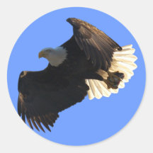 Weißkopfseeadler-Flug-Sammlung II Runder Sticker