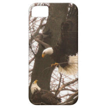 Weißkopfseeadler iPhone 5 Etui