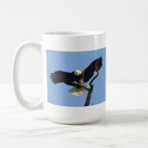 Weißkopfseeadler-Kaffeetasse
