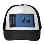 Weißkopfseeadler Netz Caps