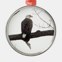 Weißkopfseeadler Ornament