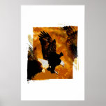 Weißkopfseeadler-Plakat-Druck - Amerikaner-Eagles-