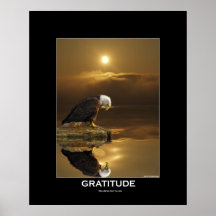 Weißkopfseeadler u. Sonnenlicht-Plakat