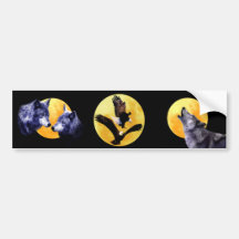 Weißkopfseeadler und Vollmond Auto Sticker