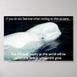 WEISSWAL POSTER