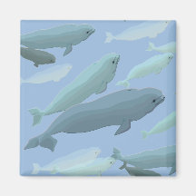 Weißwal-Wal-Kühlschrankmagnet-Wal-Kunst-Geschenke