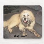 Welcher Schlamm? Mousepad