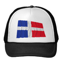 Wellenartig bewegende Flagge Saar (1947-1956) Netzcap