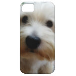 Welpe iPhone 5 Abdeckung iPhone 5 Case