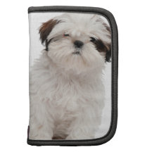 Welpe Shih Tzu Mappen