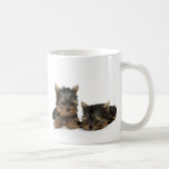 Welpen-Becher Yorkshires Terrier Teehaferl