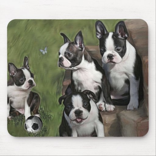 Welpen Bostons Terrier Mauspad
