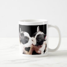 Welpen der französischen Bulldogge Haferl