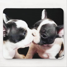 Welpen der französischen Bulldogge Mousepad