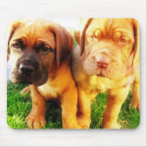 Welpen Dogue de Bordeaux mousepad