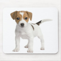 Welpen-Jack Russell Mauspads