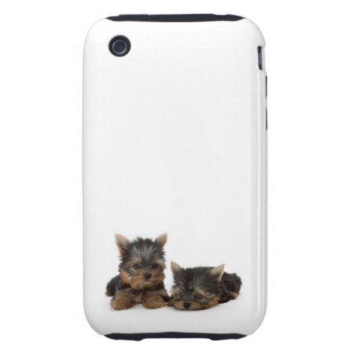 Welpen Yorkshires Terrier iPhone 3 Tough Etuis
